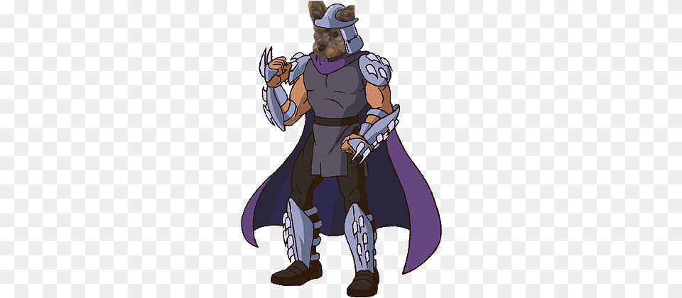 Shredder Tmnt Shredder Cosplay, Adult, Male, Man, Person Free Transparent Png