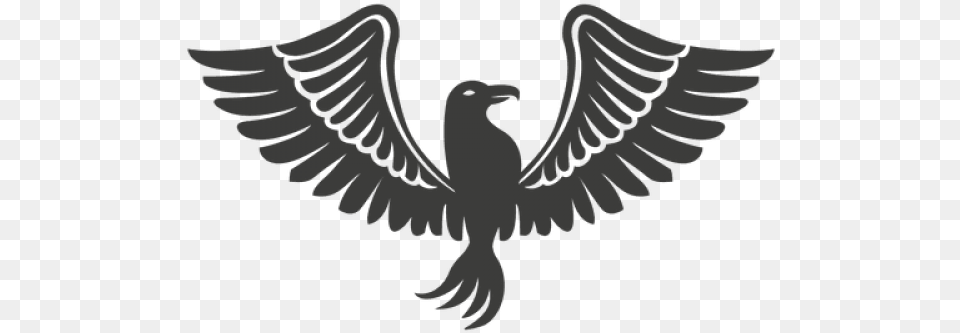 Shree Mavli Mandal High School Logo, Animal, Bird, Pigeon, Person Free Transparent Png