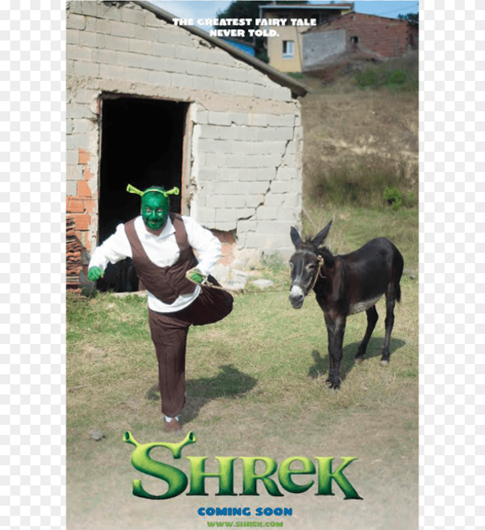 Shrek, Adult, Man, Male, Person Png Image