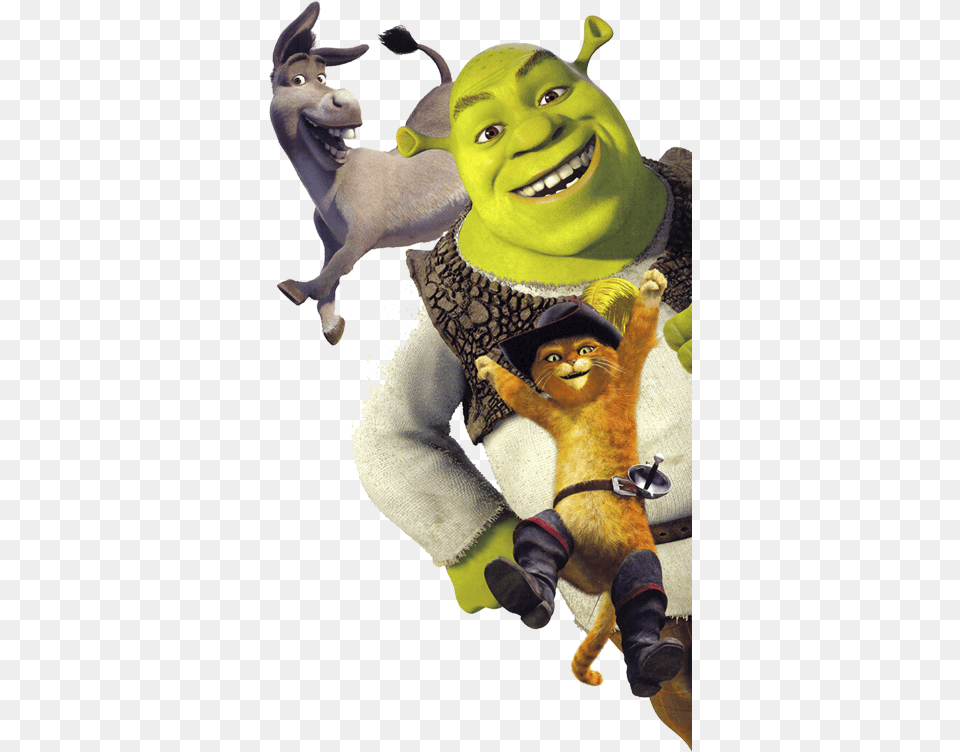 Shrek, Animal, Cat, Mammal, Pet Free Png Download