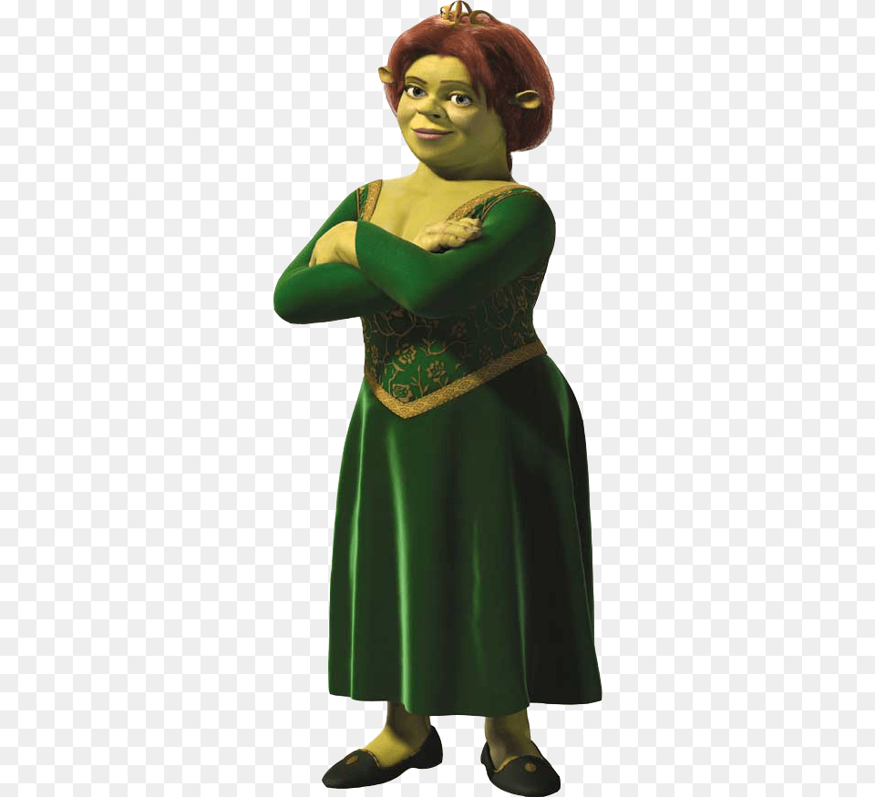 Shrek And Fiona Costume Shrek Costume Fiona Shrek Princess Fiona, Adult, Person, Female, Woman Free Png Download