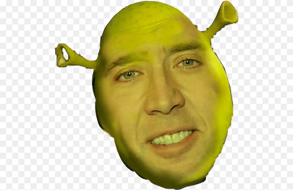 Shrek Dankfreetoedit, Adult, Person, Man, Male Free Png Download