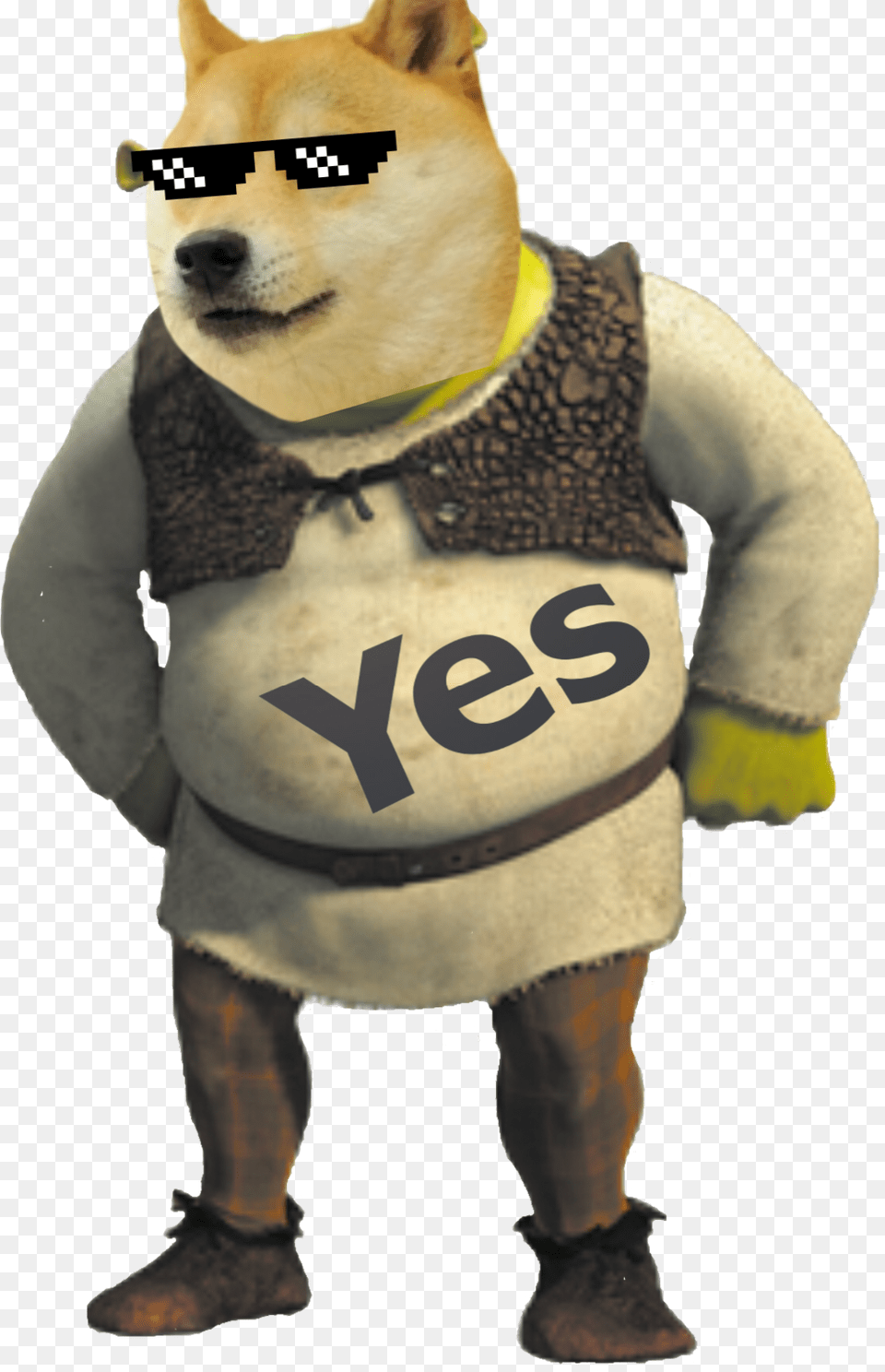 Shrek Doge Yes Meme Shrek Vans, Animal, Canine, Dog, Mammal Png