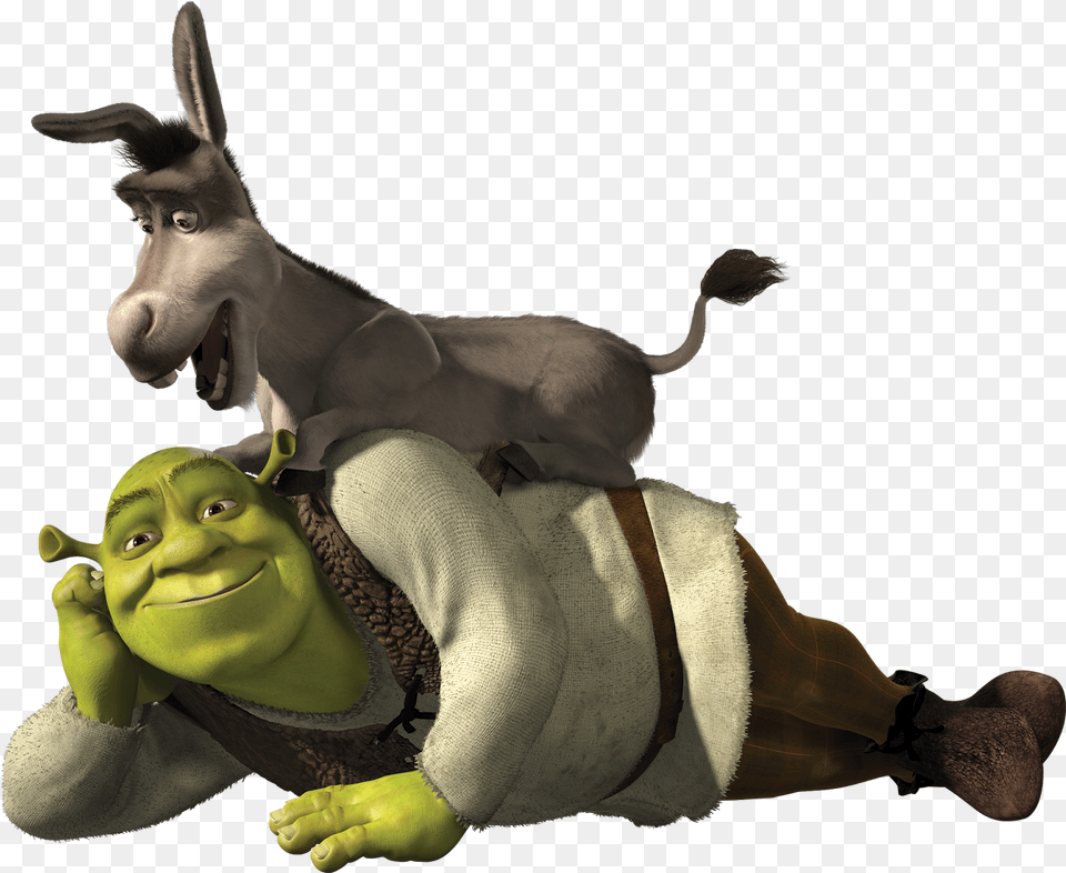 Shrek Donkey Image Shrek And Donkey, Baby, Person, Face, Head Free Png