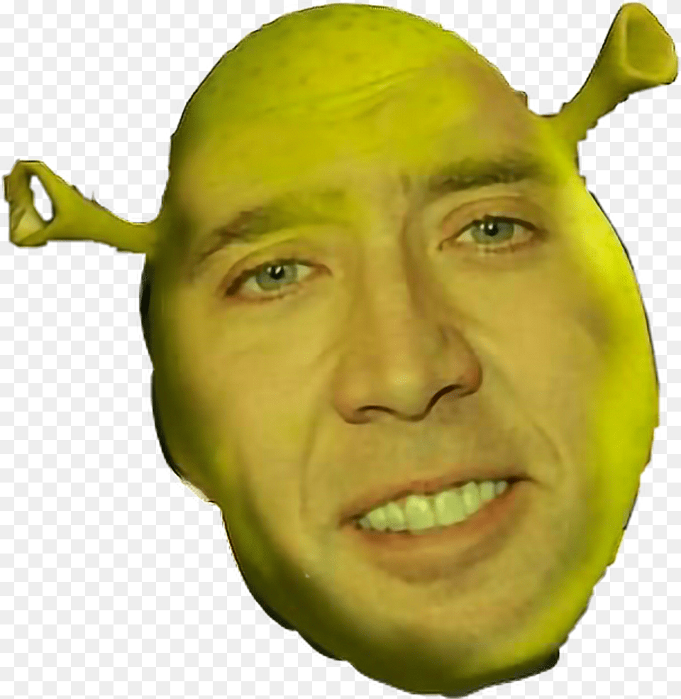 Shrek Face Nicolas Cage, Adult, Person, Man, Male Free Transparent Png