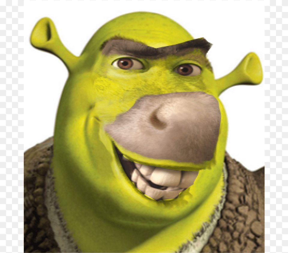 Shrek Grinch, Animal, Bird, Cartoon Free Png Download