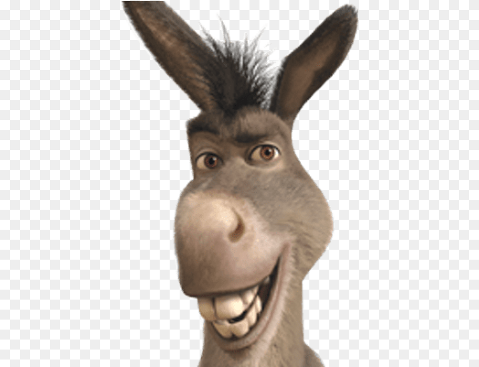 Shrek Head Donkey From Shrek Smiling, Animal, Mammal, Fish, Sea Life Png Image