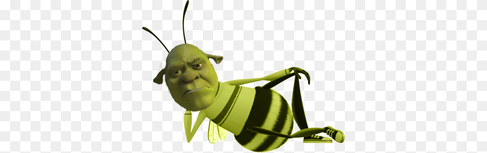 Shrek Is Love Shrek Is Life, Animal, Bee, Insect, Invertebrate Free Png