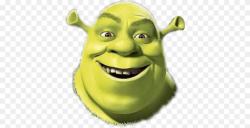 Shrek The Halls Lift The Flap Book Book, Head, Person, Face, Baby Free Transparent Png