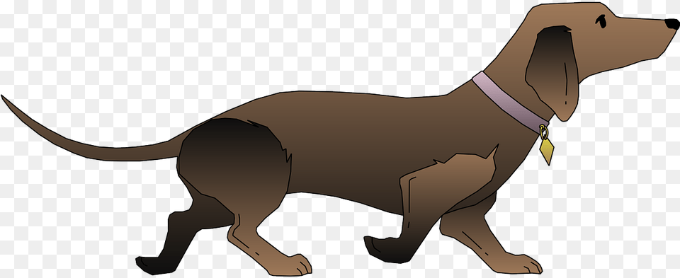 Shrewclaw Warrior Cats, Animal, Canine, Dog, Hound Free Transparent Png