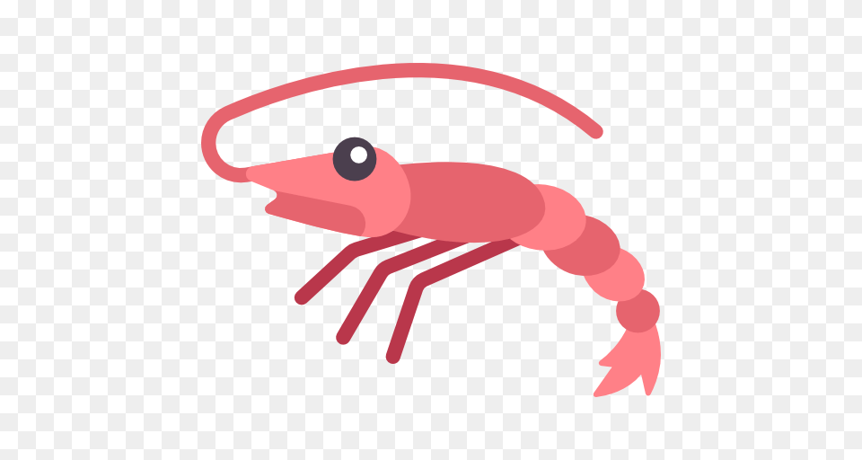 Shrimp, Food, Seafood, Animal, Sea Life Png