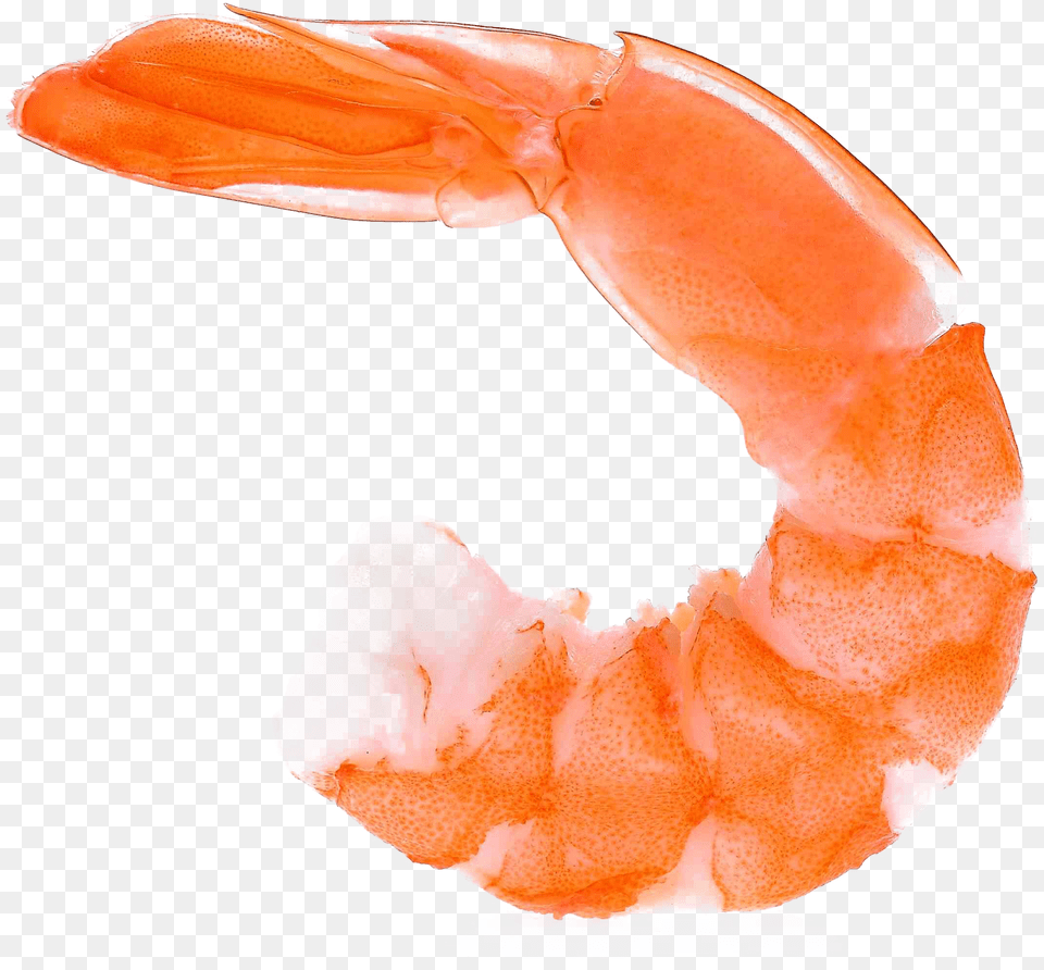 Shrimp, Animal, Food, Invertebrate, Sea Life Png Image