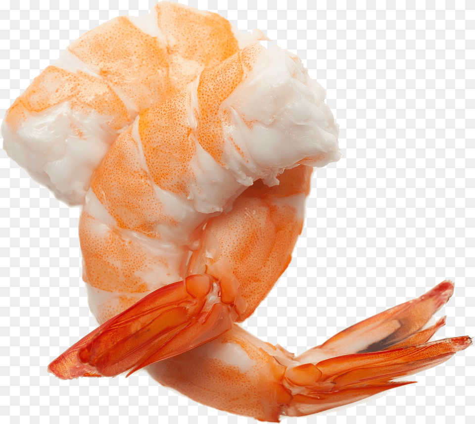 Shrimp, Animal, Food, Invertebrate, Sea Life Free Png