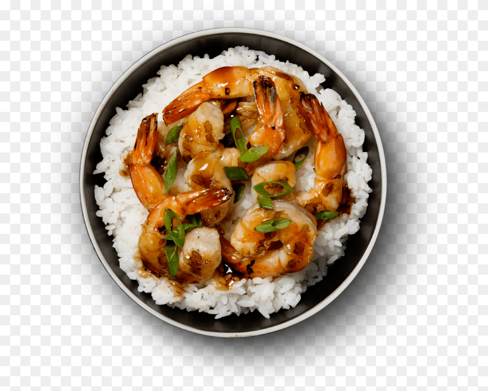 Shrimp Bowl Waba Grill Shrimp Bowl, Animal, Food, Food Presentation, Invertebrate Free Png Download