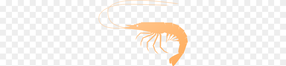 Shrimp Clip Art, Food, Seafood, Animal, Sea Life Png Image