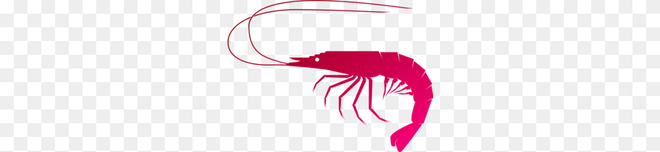 Shrimp Clip Art, Food, Seafood, Animal, Sea Life Free Transparent Png