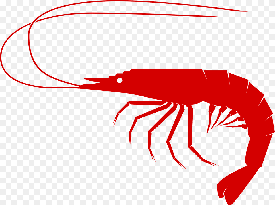 Shrimp Clipart, Food, Seafood, Animal, Invertebrate Free Png Download