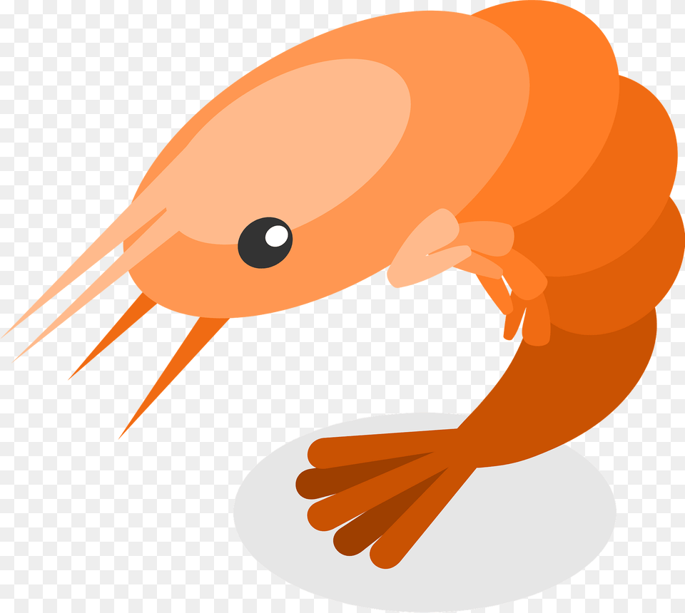 Shrimp Clipart, Animal, Fish, Sea Life, Shark Free Png Download