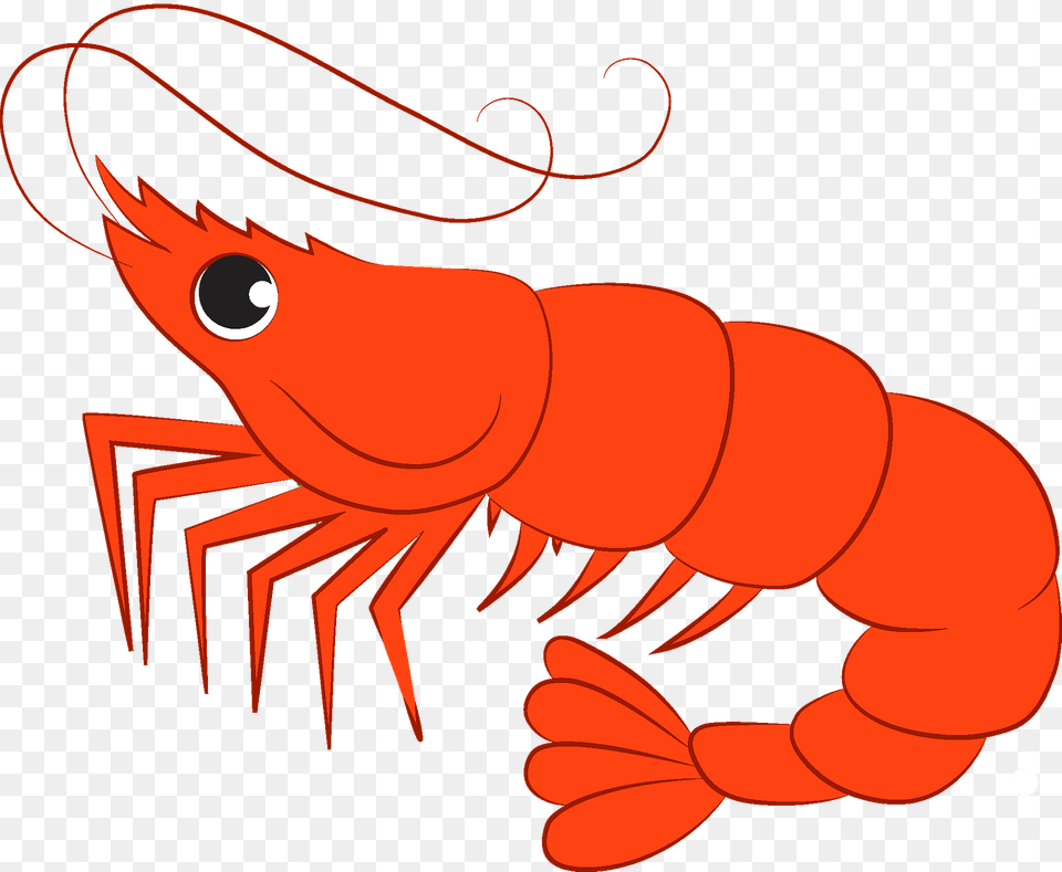 Shrimp Clipart, Food, Seafood, Animal, Sea Life Free Png Download