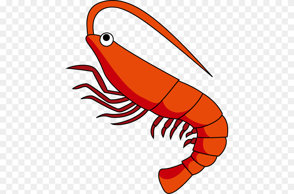 Shrimp Clipart Clipart Station, Food, Seafood, Animal, Sea Life Png