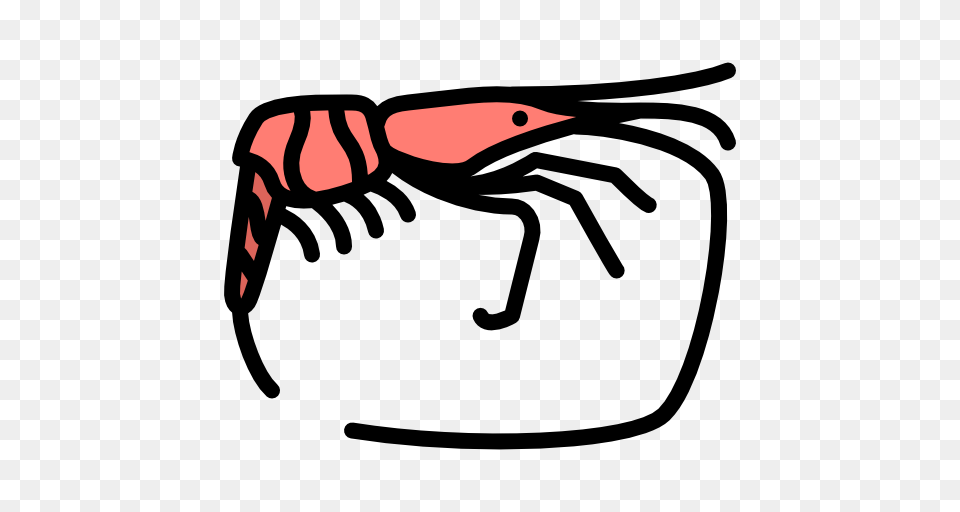 Shrimp Clipart Icon, Food, Seafood, Animal, Sea Life Free Png