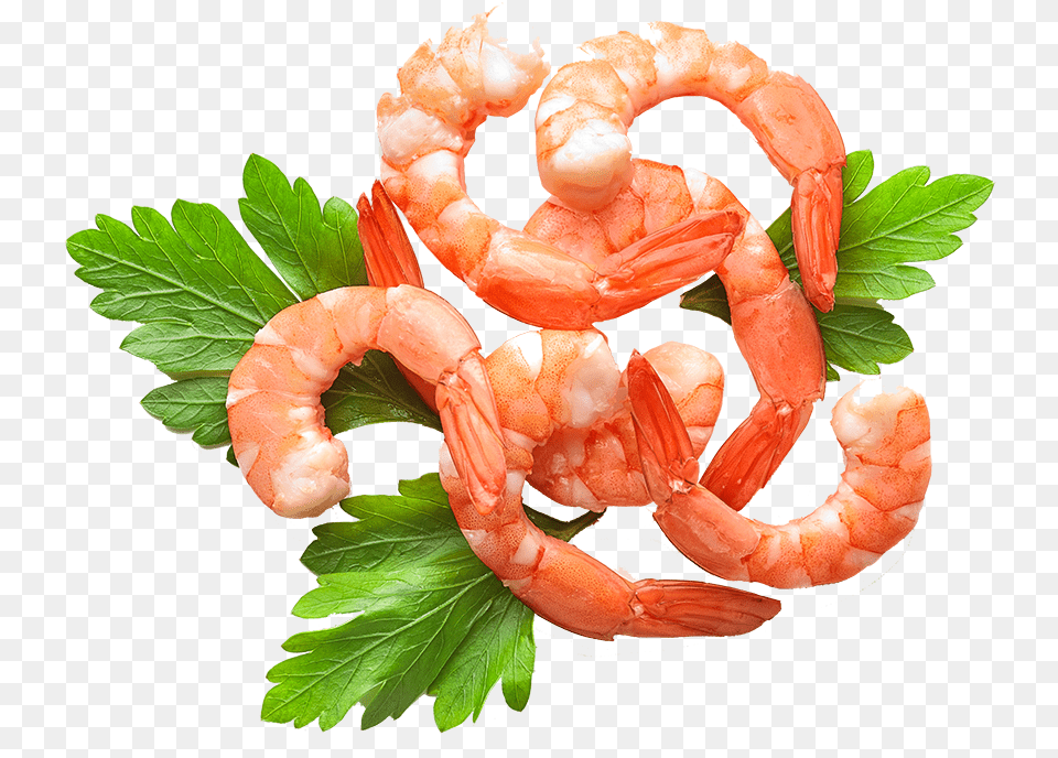 Shrimp Curled Around Decorative Parsley Scampi, Animal, Food, Invertebrate, Sea Life Free Png