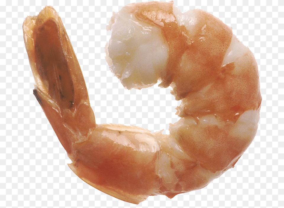 Shrimp Eat, Animal, Food, Invertebrate, Sea Life Free Png Download