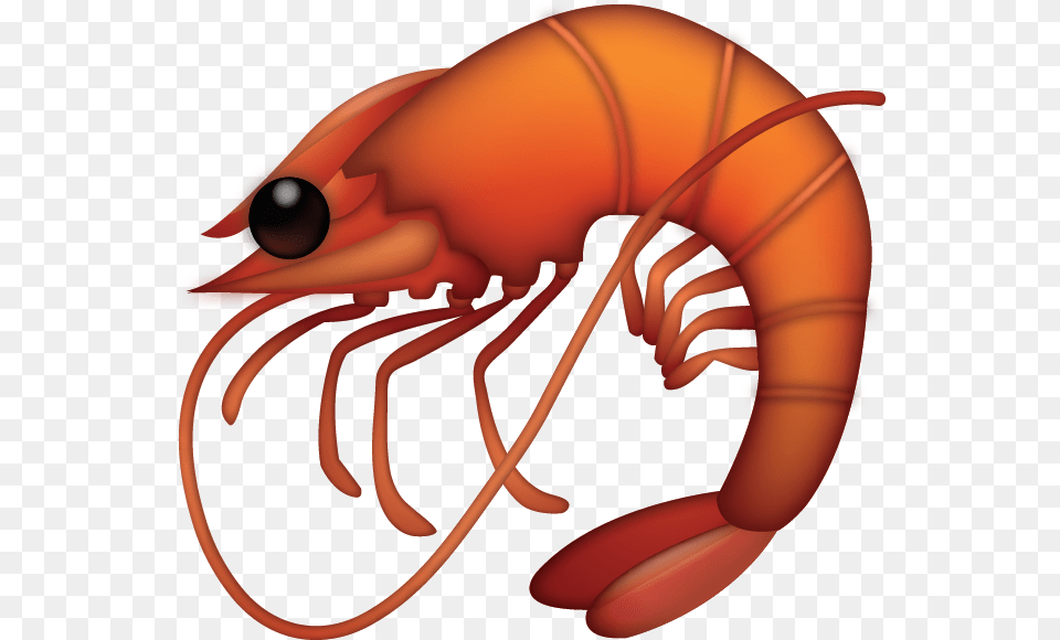 Shrimp Emoji, Animal, Food, Invertebrate, Sea Life Free Png Download