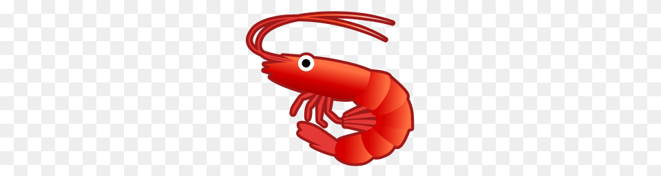 Shrimp Icon Noto Emoji Animals Nature Iconset Google, Food, Seafood, Animal, Sea Life Free Transparent Png