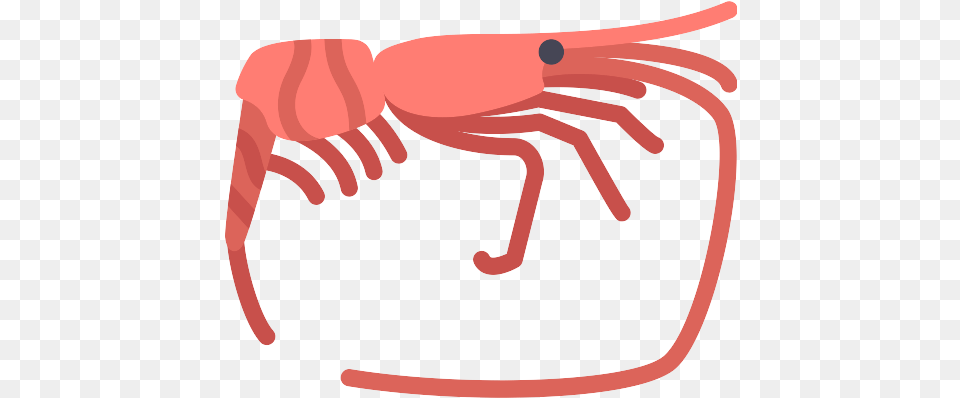 Shrimp Icons And Graphics Icon, Food, Seafood, Animal, Sea Life Png Image