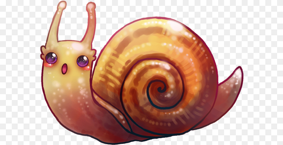 Shrimp Kawaii Snail, Animal, Invertebrate Free Png