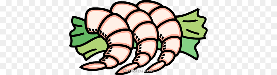Shrimp Royalty Vector Clip Art Illustration, Electronics, Hardware, Food, Ammunition Free Png