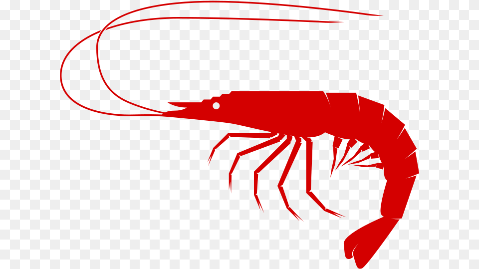 Shrimp To Use Download Clipart Shrimp Clipart, Food, Seafood, Animal, Invertebrate Png
