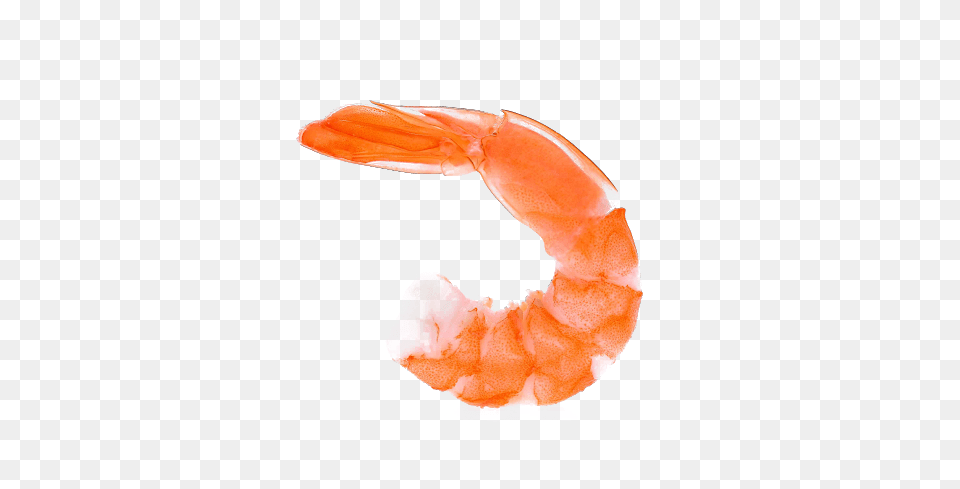 Shrimps, Animal, Food, Invertebrate, Sea Life Free Png Download