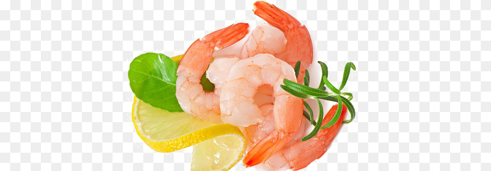 Shrimps, Animal, Food, Invertebrate, Sea Life Free Png Download