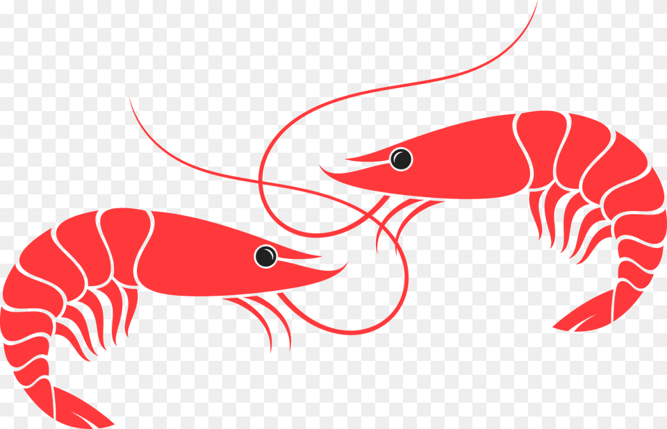 Shrimps, Food, Seafood, Animal, Invertebrate Free Transparent Png