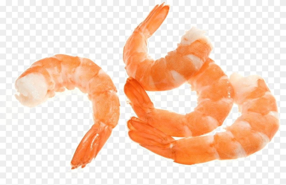 Shrimps, Animal, Food, Invertebrate, Sea Life Free Transparent Png