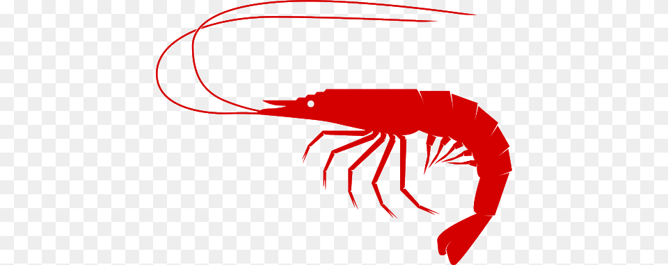 Shrimps, Food, Seafood, Animal, Invertebrate Free Transparent Png