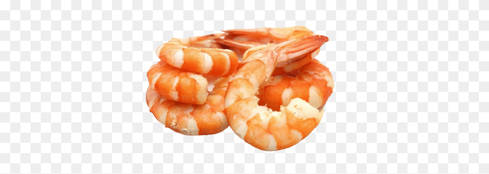 Shrimps, Animal, Food, Invertebrate, Sea Life Png Image