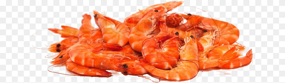 Shrimps Pic Of Shrimps, Animal, Food, Invertebrate, Sea Life Free Transparent Png