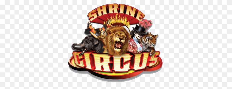 Shrine Circus Logo, Leisure Activities, Mammal, Lion, Animal Png Image