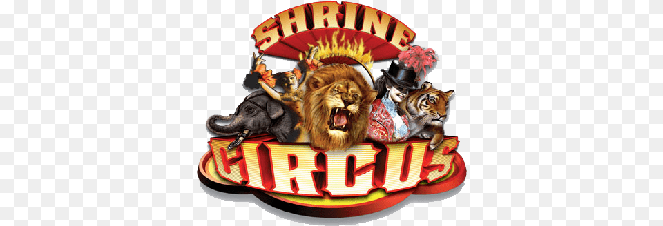 Shrine Circus Logo Transparent Shrine Circus Logo, Leisure Activities, Adult, Wildlife, Person Png