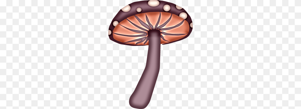Shrooms Mushroom Clip Art, Agaric, Amanita, Fungus, Plant Free Transparent Png