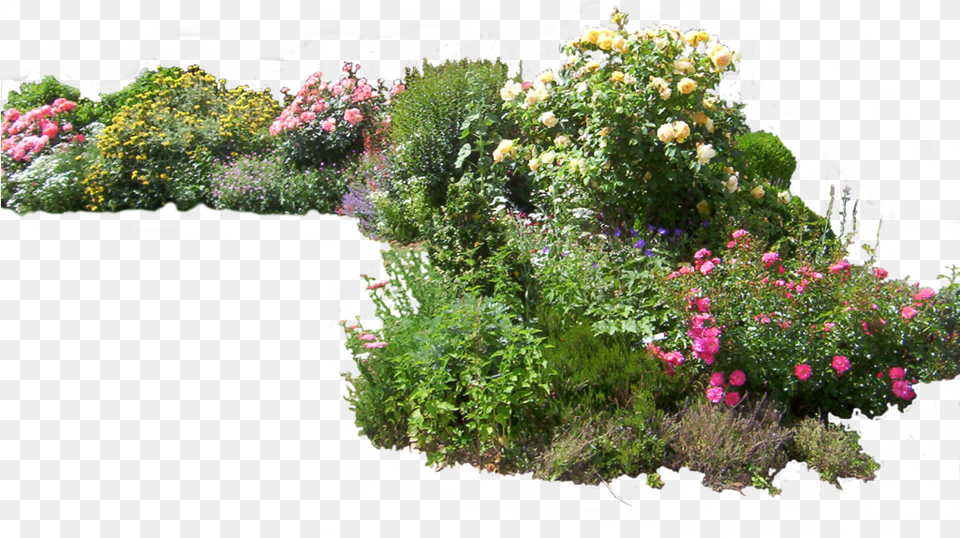 Shrub, Arbour, Plant, Outdoors, Nature Png