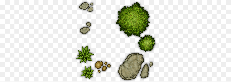 Shrub Dungeons And Dragons Art Dungeon, Green, Moss, Plant, Leaf Free Transparent Png