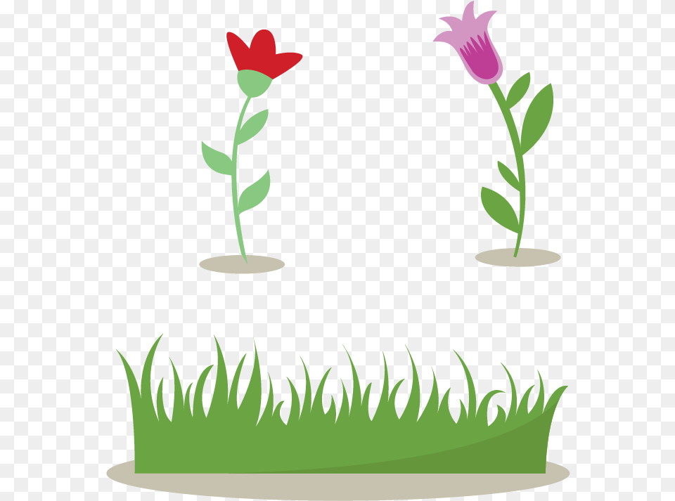 Shrub And Flowers Transprent Illustration, Petal, Rose, Flower, Plant Png Image
