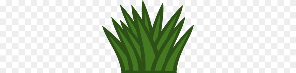 Shrub Clipart, Grass, Green, Leaf, Plant Free Transparent Png