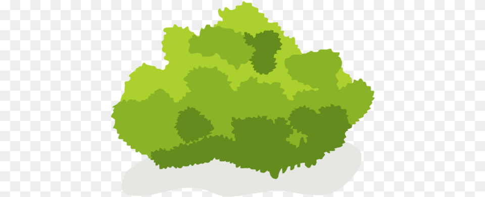 Shrub Clipart Bush Clipart, Green, Food, Lettuce, Moss Free Png Download
