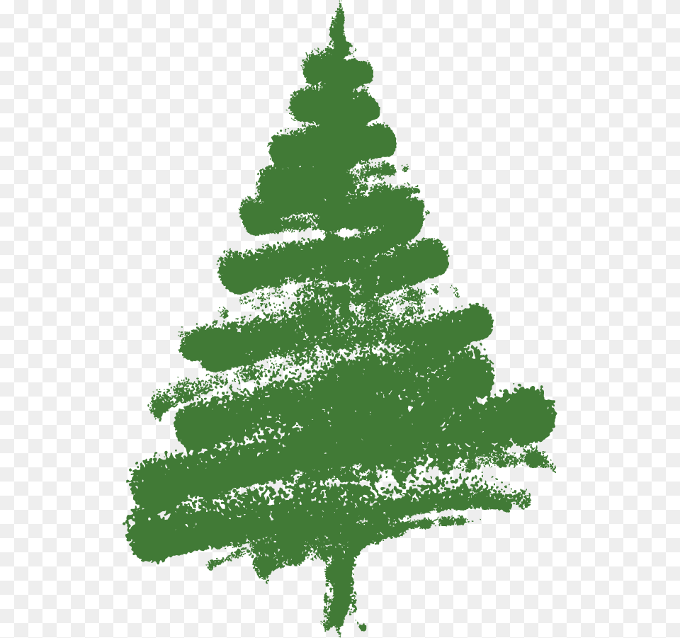 Shrub Clipart Evergreen Christmas Tree, Fir, Pine, Plant, Conifer Png Image