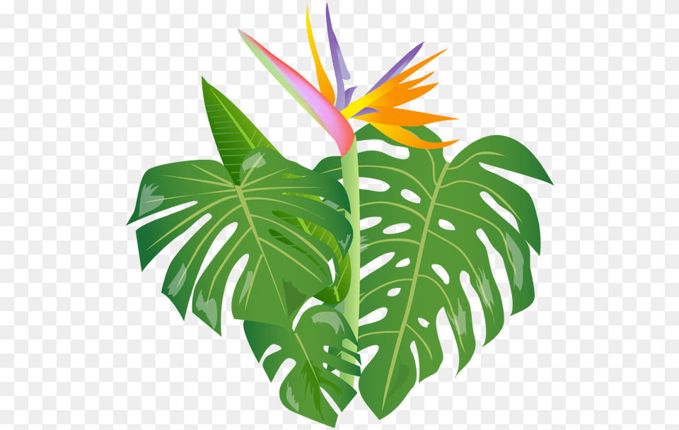 Shrub Clipart Jungle Cartoon Jungle Leaves, Flower, Plant, Vegetation, Leaf Free Transparent Png